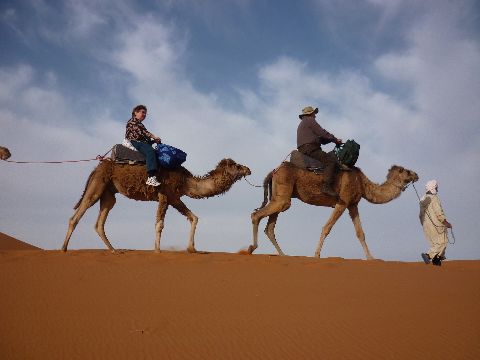 Camels and Sue