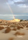 Desert Rainbow Small