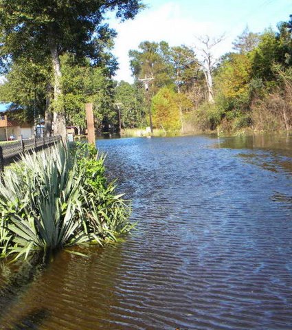 Flood