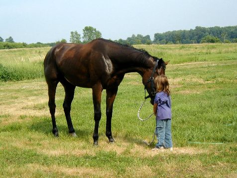 Skyler and Stallion