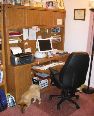 Susan Frank Desk