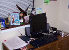 Travis Desk