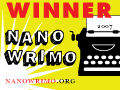 nano_07_winner_small