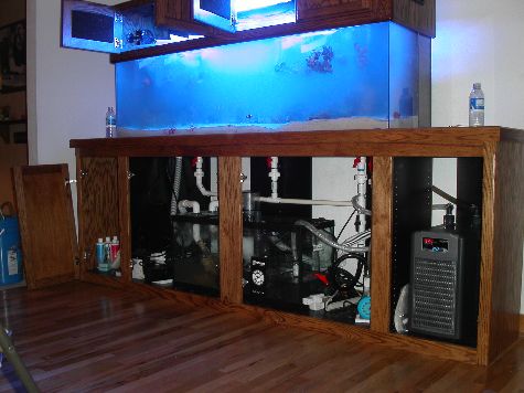 Aquarium Rebuild 2