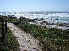 Coast Trail Pebble Beach Small