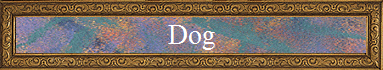 Dog