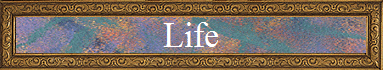 Life